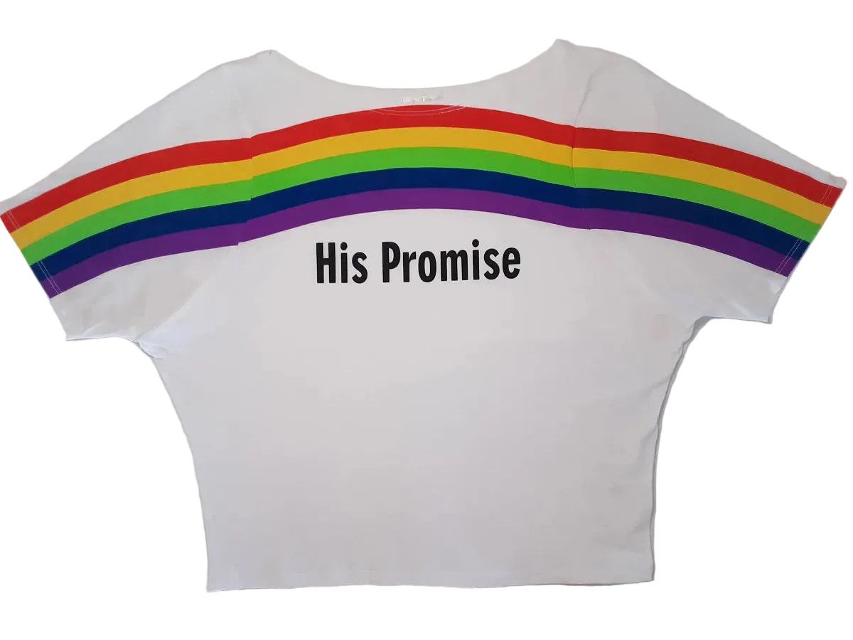 Rainbow  Knit short sleeve top
